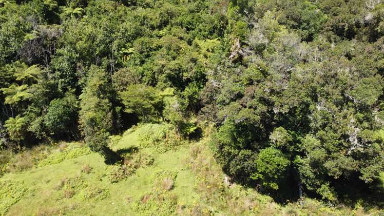 254 Doughboy Road Kokatahi_78