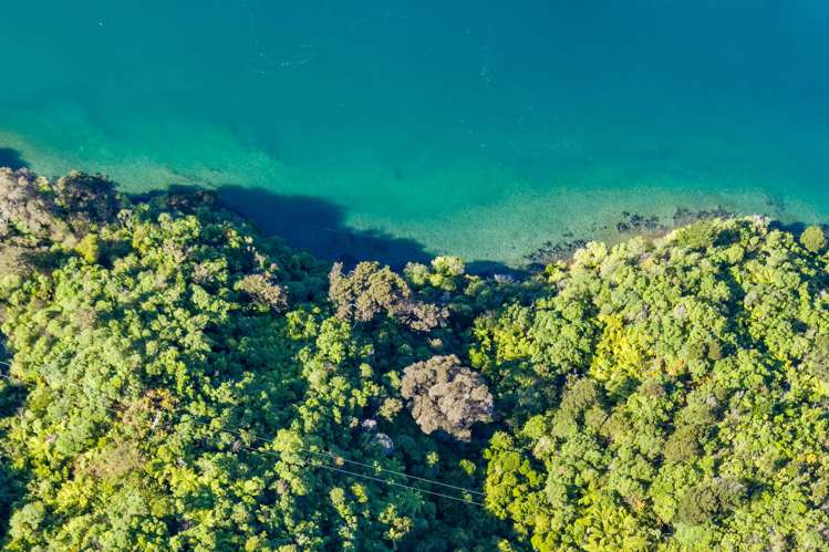 The Snout Waikawa Bay Picton_11