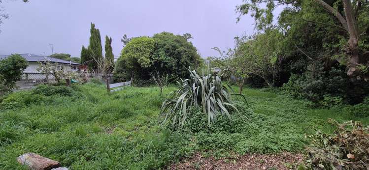 12 Ngatitoa Street Takapuwahia_10