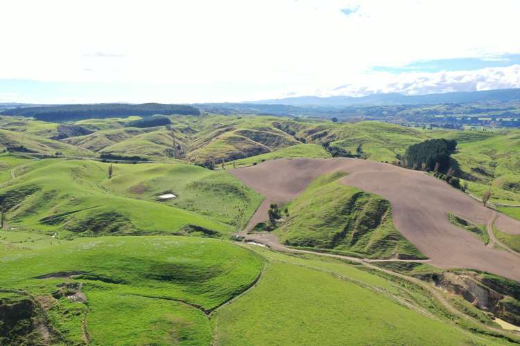 810 Spur Road Ashhurst_7