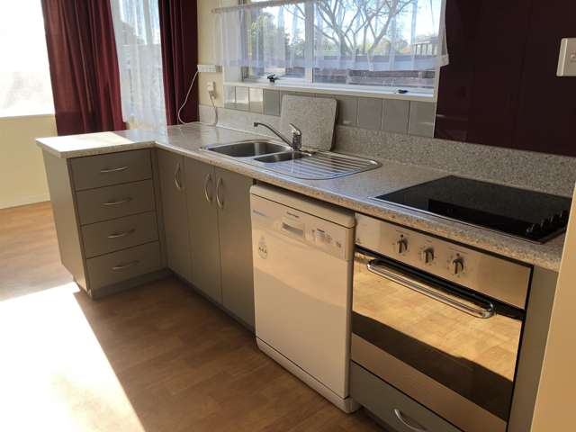 42a Rogers Street Blenheim Central_1