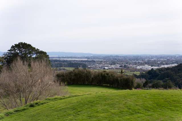 528 Ponga Road Opaheke_2