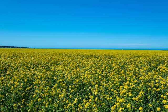 1823 Chertsey Kyle Road and Lambies Road Pendarves_3