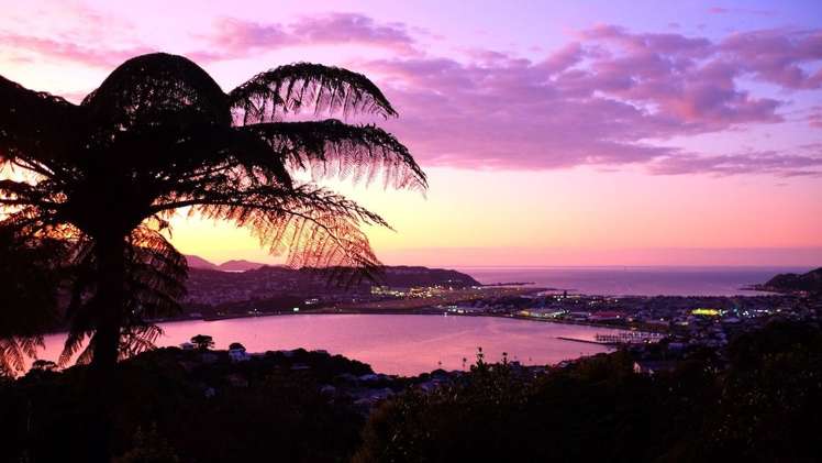 25 Alexandra Road Roseneath_15