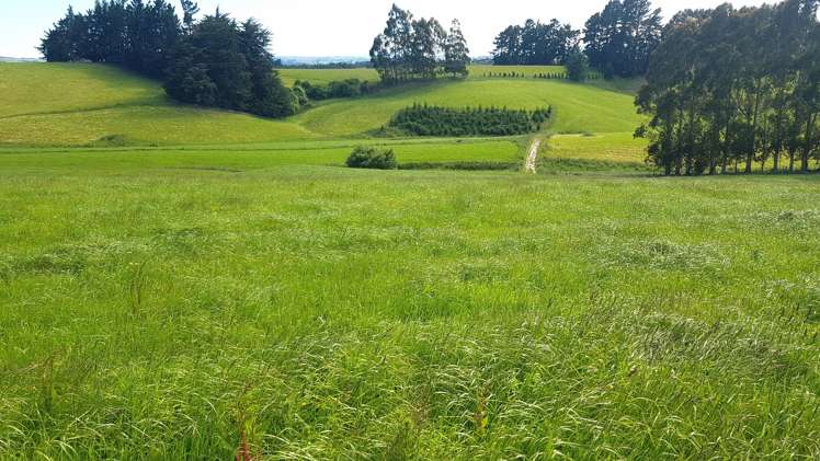 31 Windy Ridge Road Balclutha_22