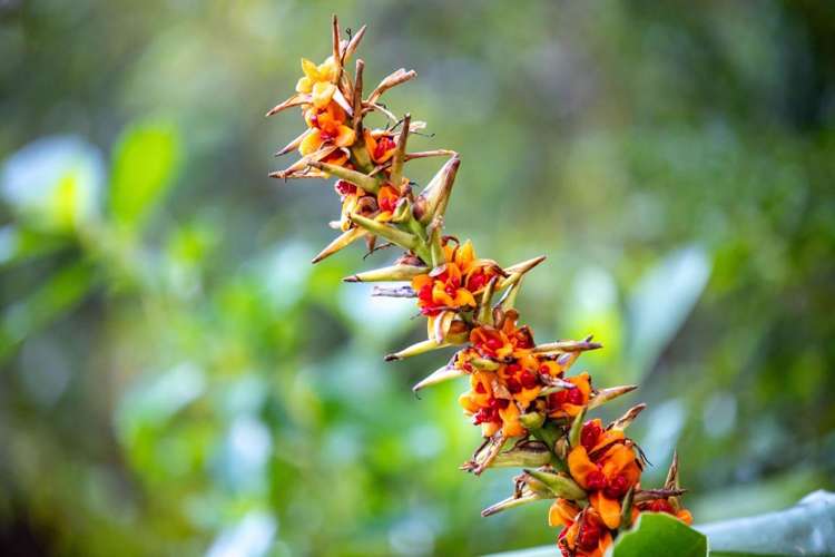 147 Renown Road Waikokowai_53