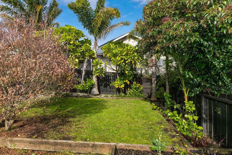 79 Astley Avenue New Lynn_12