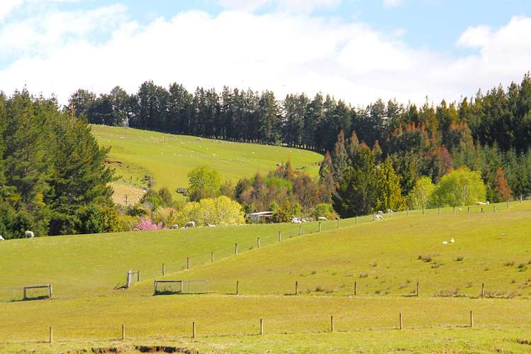 657 Ramparts Road Te Anau_2