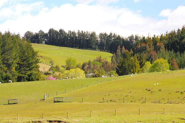 657 Ramparts Road Te Anau_2