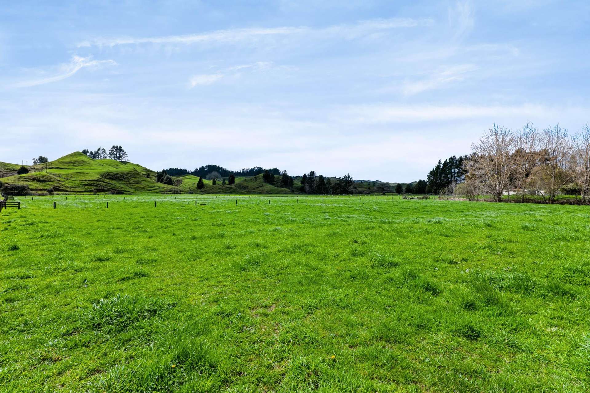 1151 Makuri Road Huiroa_0