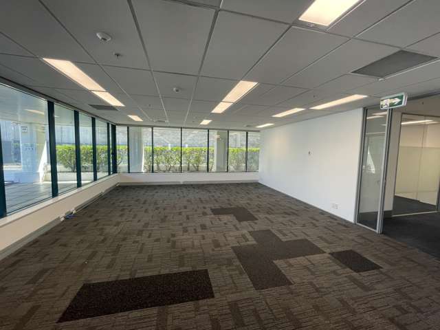 101 Carlton Gore Road Newmarket_3