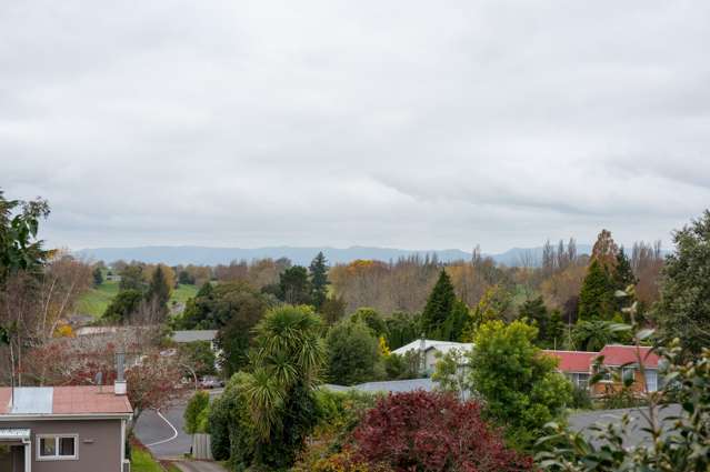 2a Riverview Street Putaruru_2