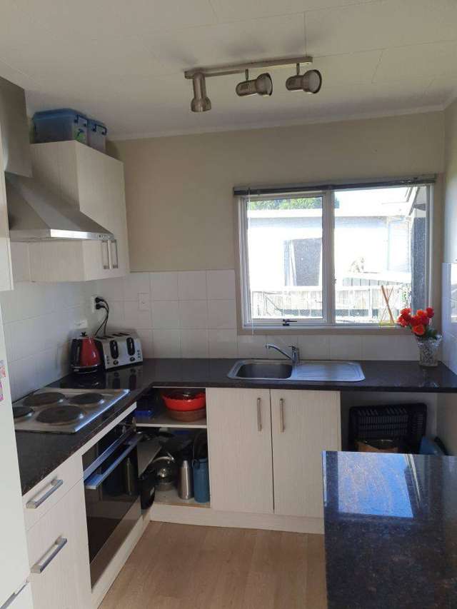 9 Balwyn Place Clendon Park_4