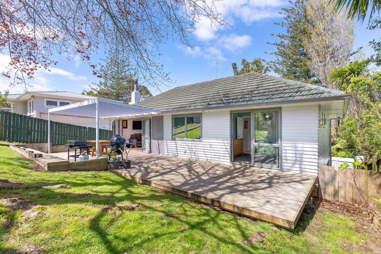 64 Taupo Street Green Bay_7