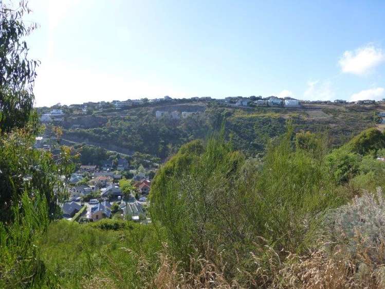 20 La Costa Lane Mount Pleasant_7