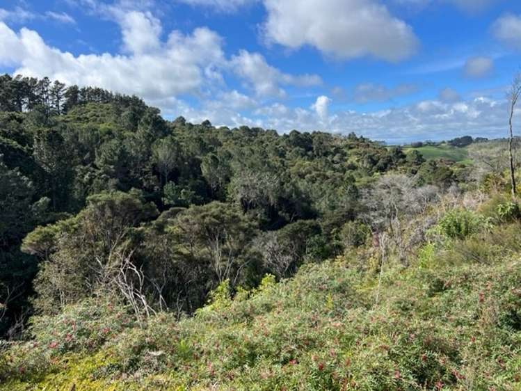 225a Awhitu Central Road Awhitu_3