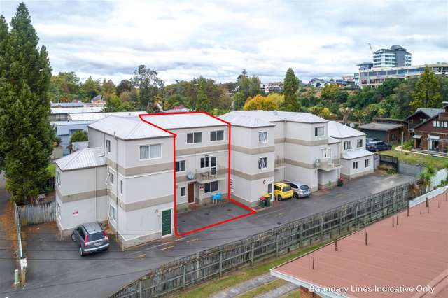 29B Opoia Road Hamilton East_2