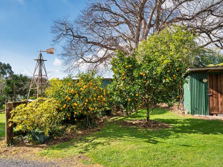 162 Ross Road Whakamarama_38