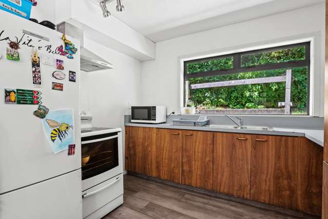 41c Gorge Road Queenstown_4