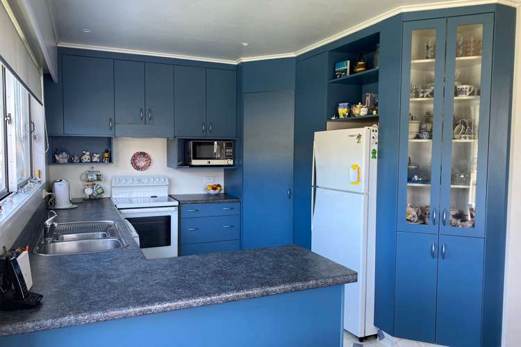 104 Centennial Avenue Thames_3