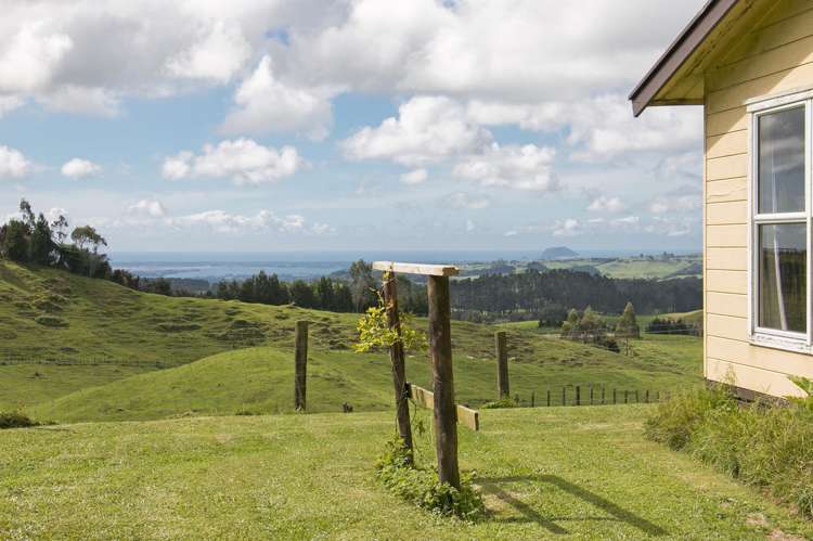 933 Whakamarama Road Whakamarama_1