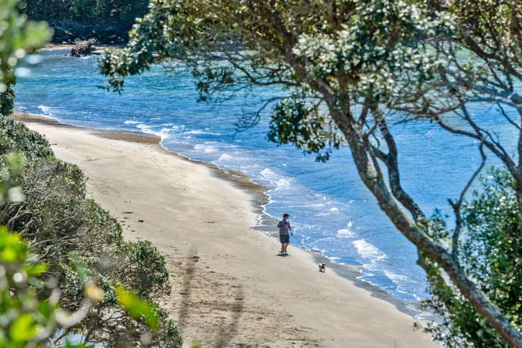 17 Bournemouth Terrace Murrays Bay_6