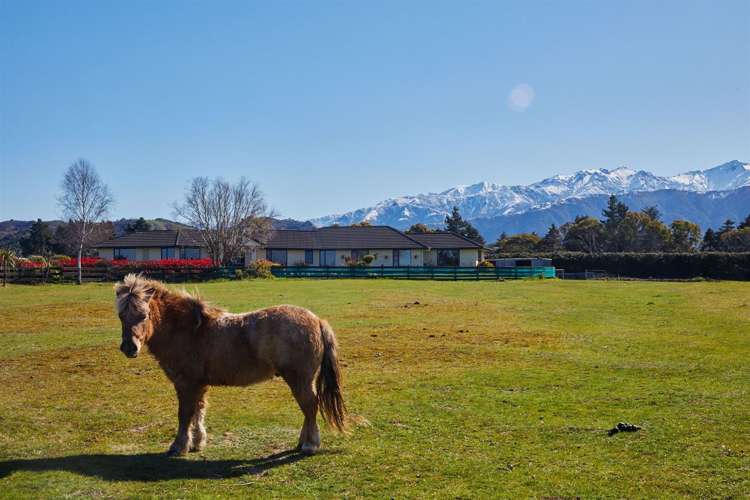 399 Inland Kaikoura Road Kaikoura_46