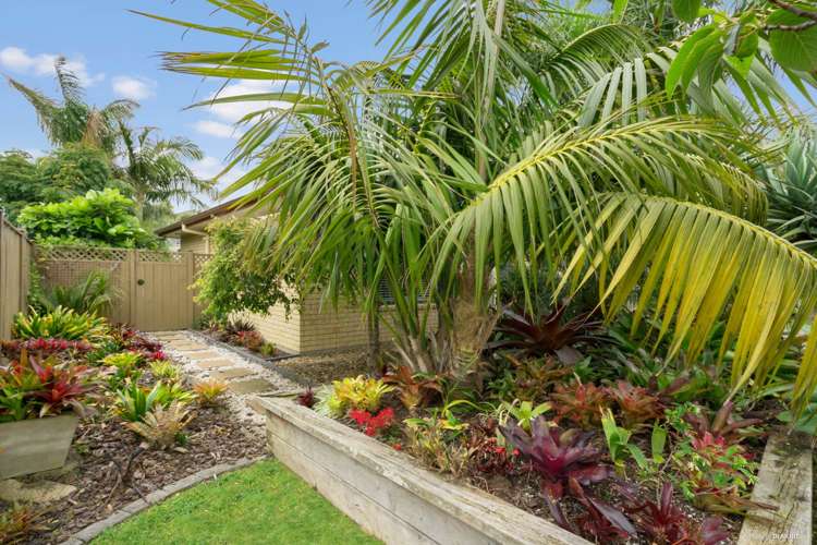 49 Turnberry Drive Wattle Downs_12