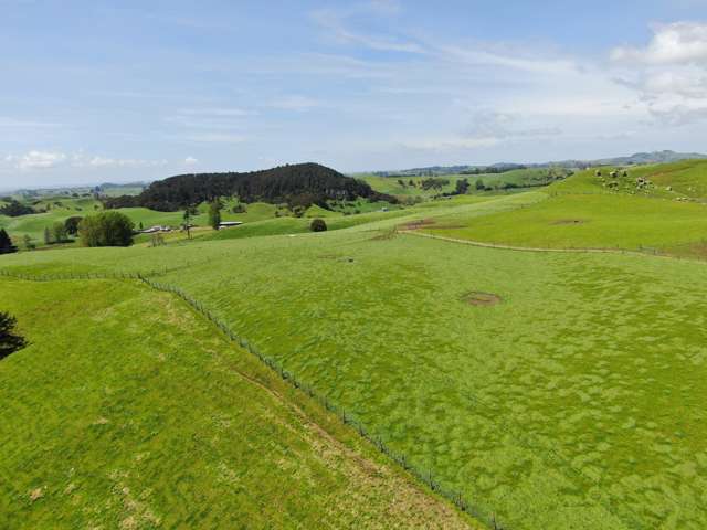 782 Mangare Road Wharepapa South_2