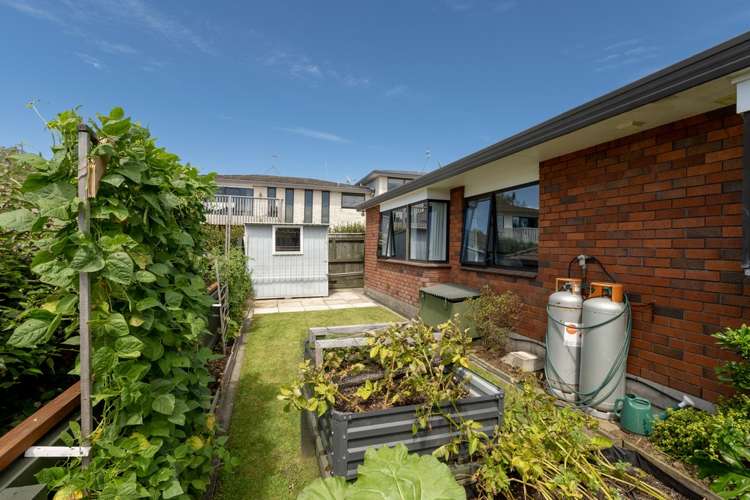 181a Edgecumbe Road Tauranga South_19