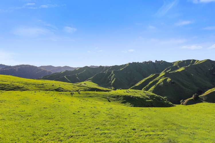 292 Aramahoe Road Taumarunui_22