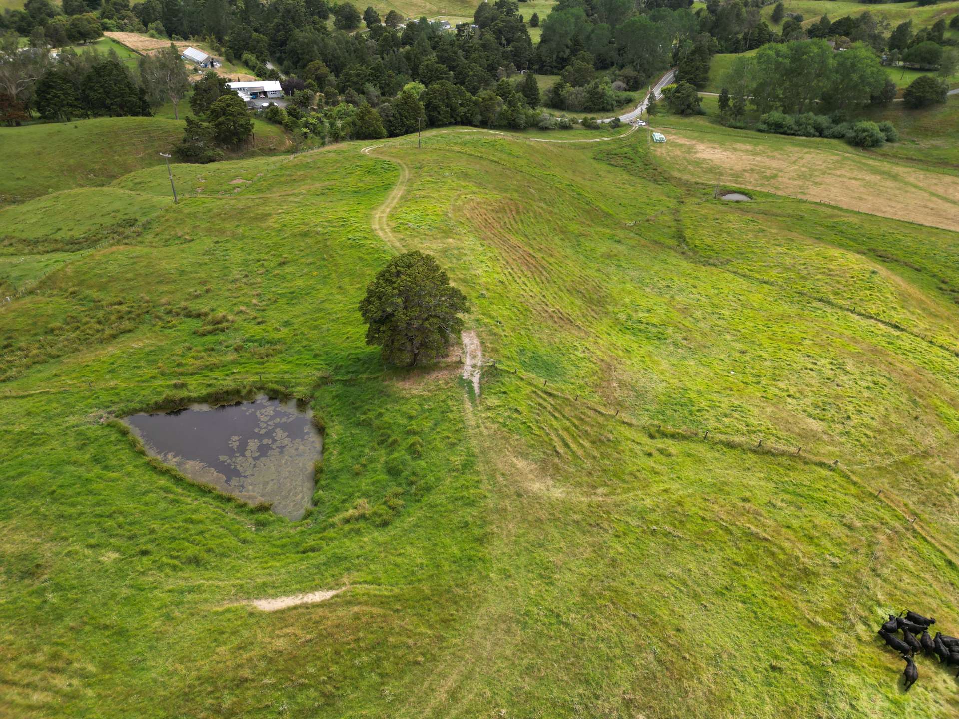 118 Paparoa Station Road Paparoa_0