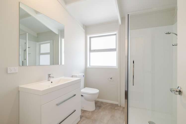 7 Fagan Street Bulls_13