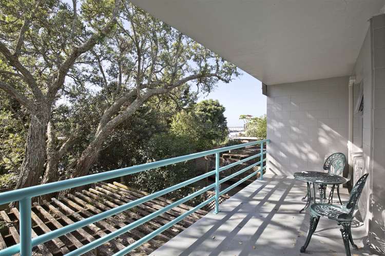 2 Maungawhau Road Epsom_2