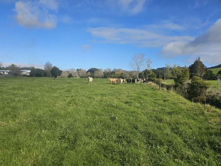 43 Hongi Street Kaikohe_18