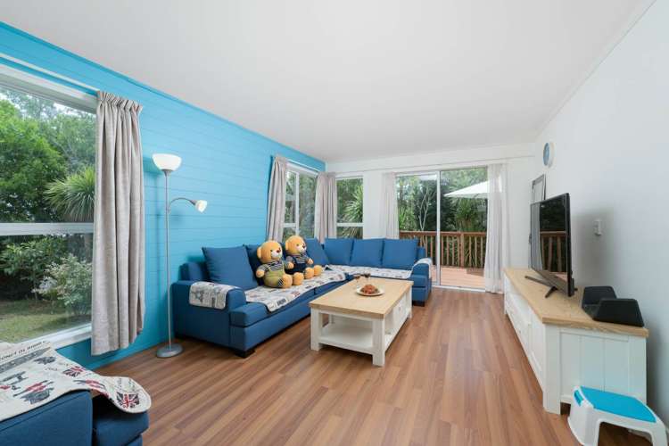 55 Terra Nova Street Glen Eden_4