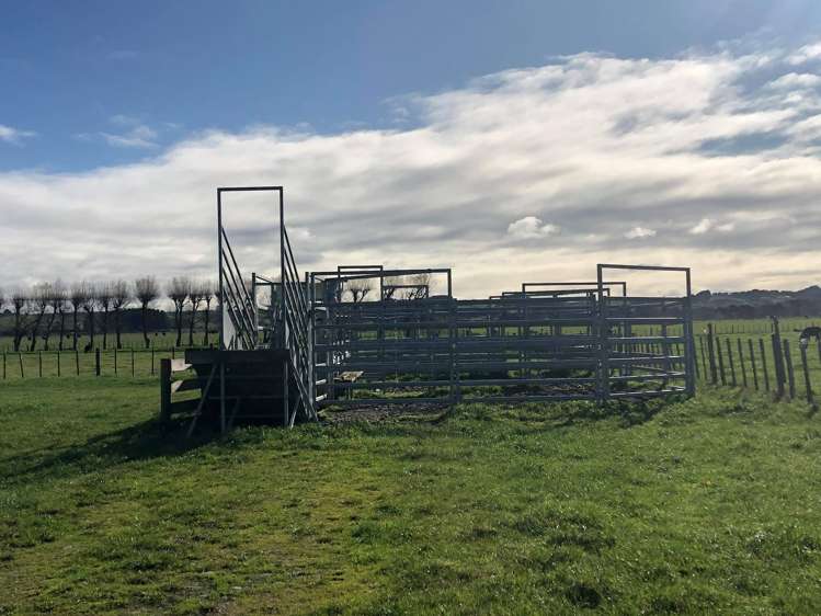 119 Pharazyn Road Feilding_10