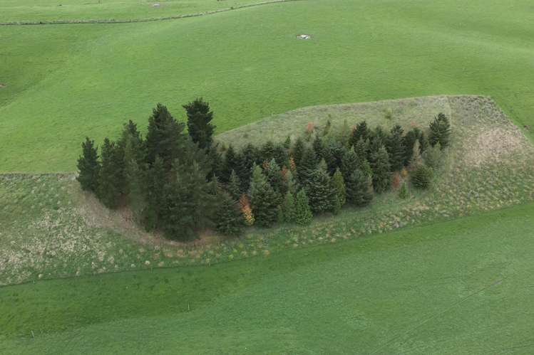 78 Cemetery Road Culverden_5