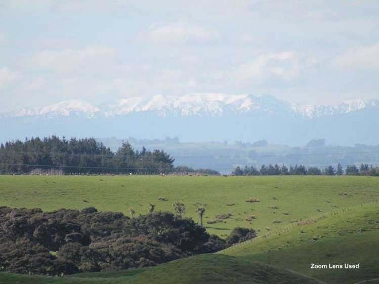 10 Red Lane Feilding_44