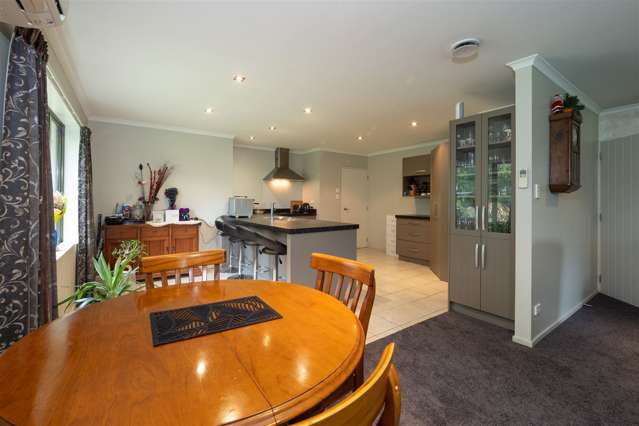 2 Birchside Lane Tinwald_3