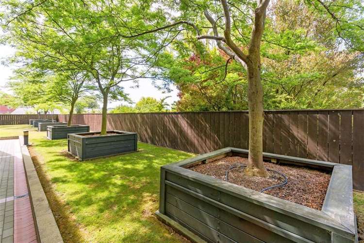 66/868 Colombo Street Christchurch Central_20