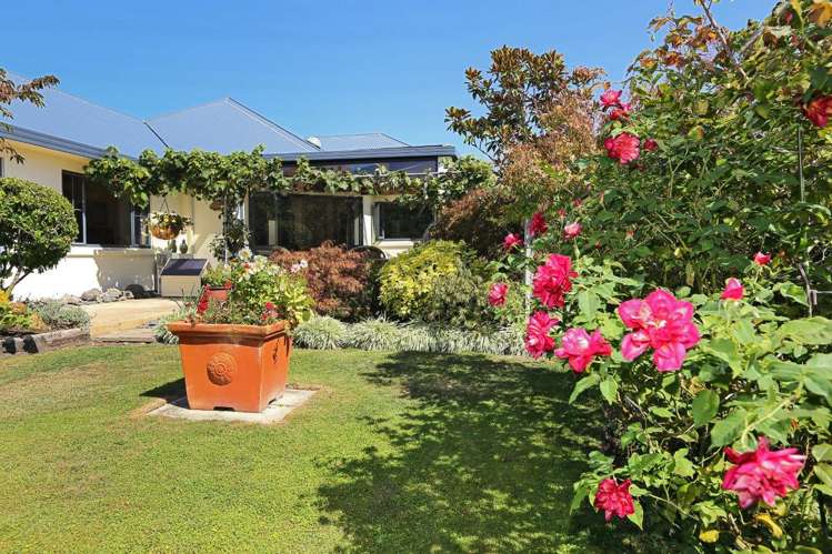 22 Palmbrook Avenue Havelock North_3