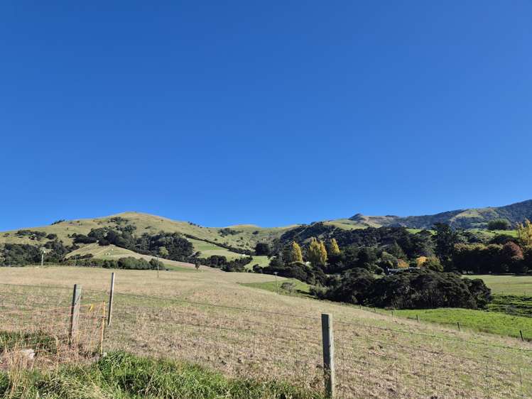 282 Wainui Main Road French Farm_14