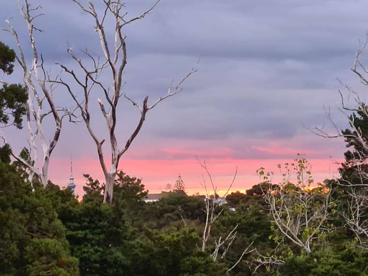 1/5 Ridgewood Crescent Birkenhead_21