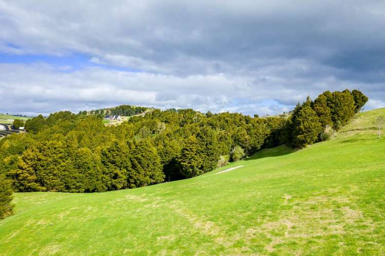 251 Lawrence Road Mangawhai_23