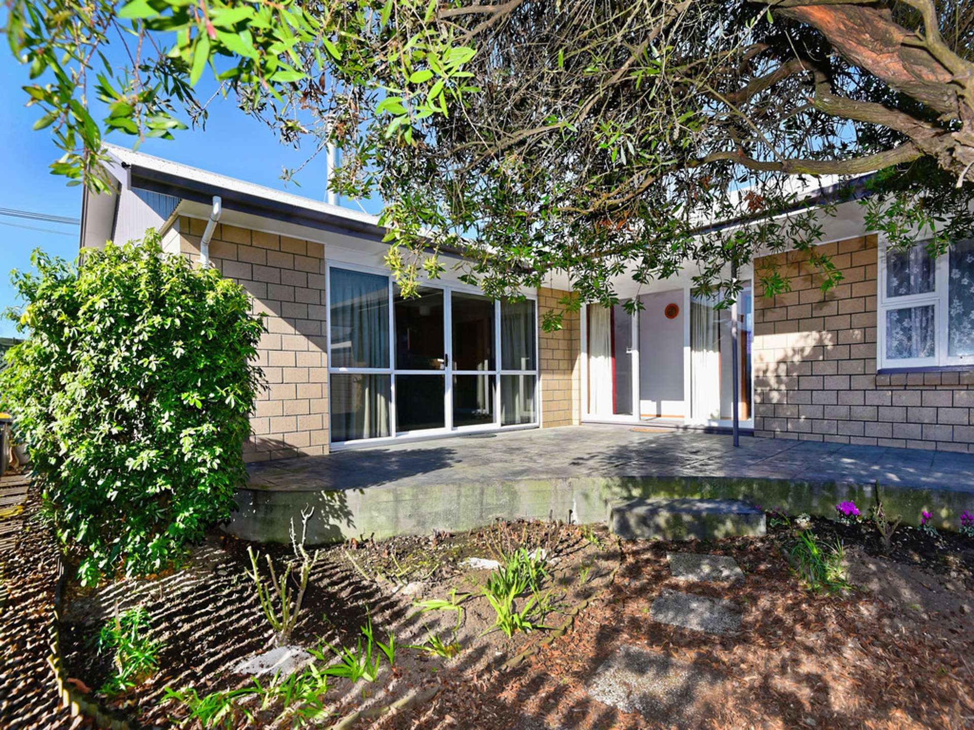 391 Bower Avenue Parklands_0