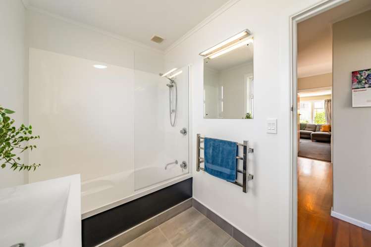 45 Black Beech Street Birchville_13