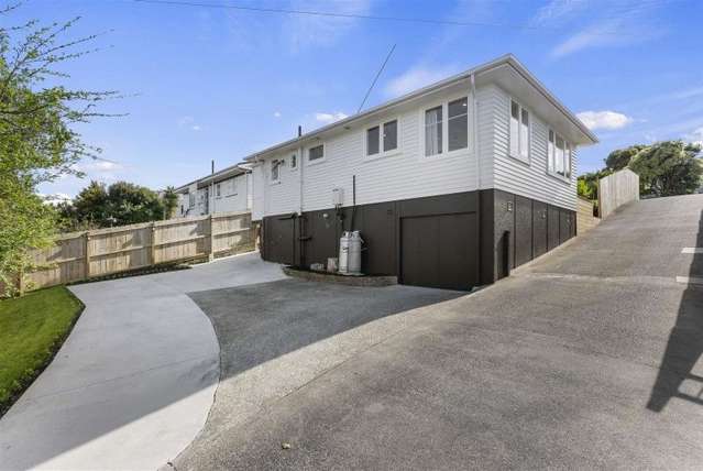 42 Ellis Avenue Mount Roskill_2