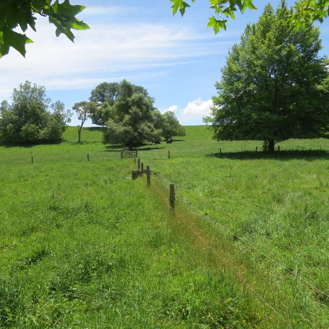 Whawharua Road Otorohanga_3