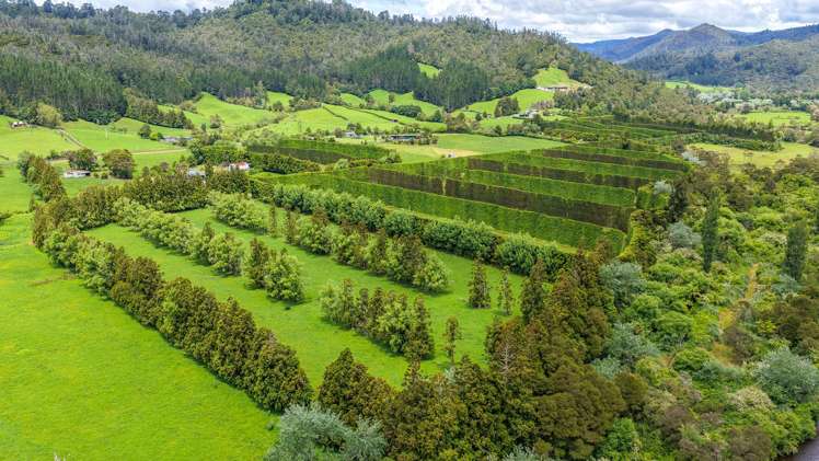 214 Puketui Valley Road Hikuai_1